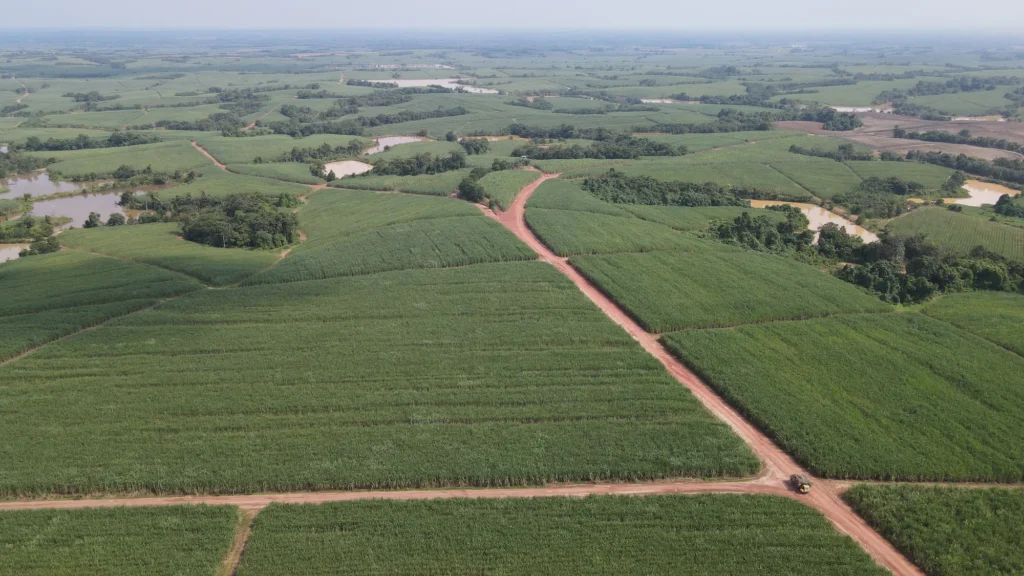 PSMI Homepage Hero Cover