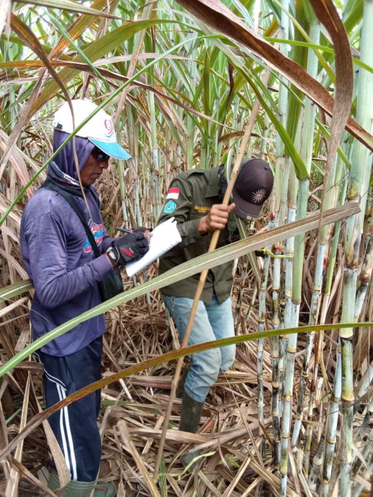 WhatsApp Image 2025-02-27 at 07.56.51