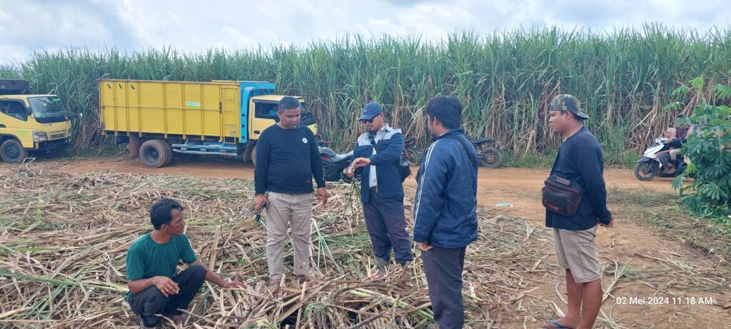 WhatsApp Image 2025-02-27 at 08.54.23 (1)